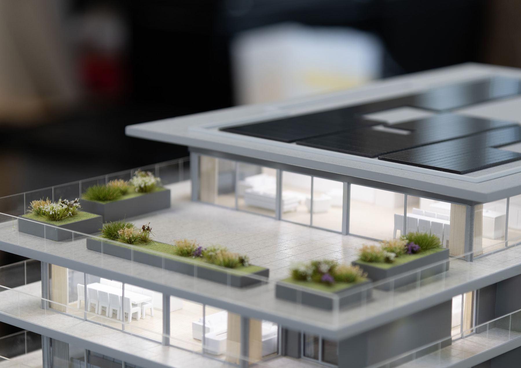 Détail d’attique avec terrasses végétalisées et intérieurs meublés